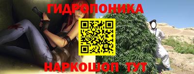 крисы Тула
